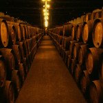 visita-caves-vinho-do-porto