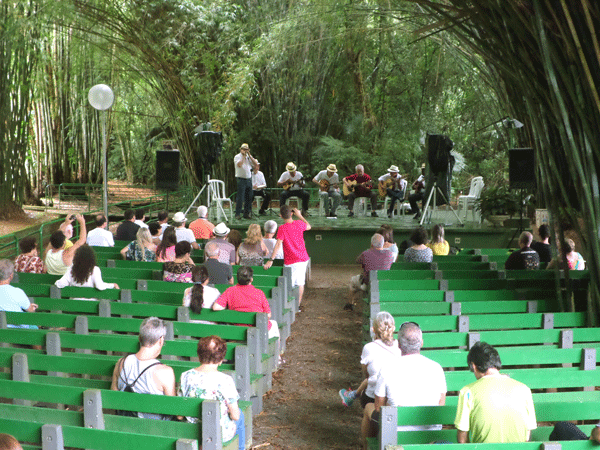 Música ao vivo na Catedral do Bambu