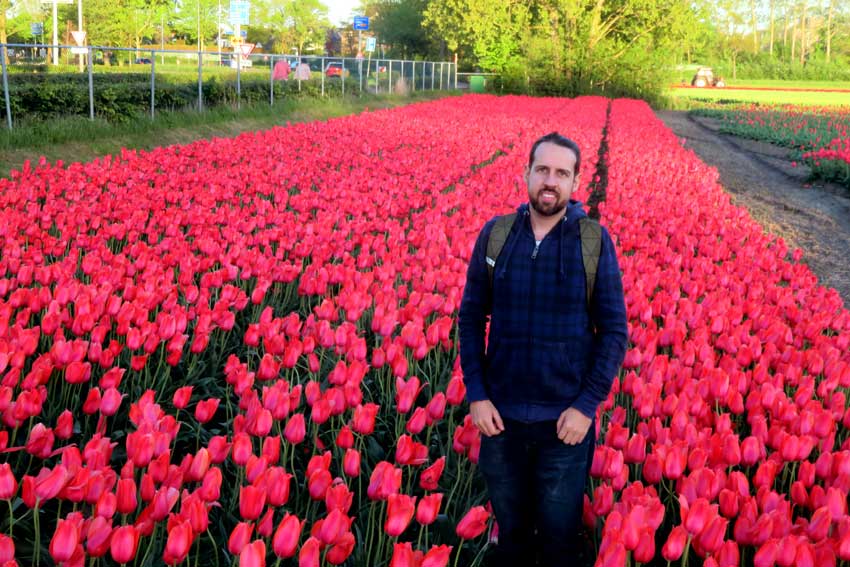 campos de tulipas holanda