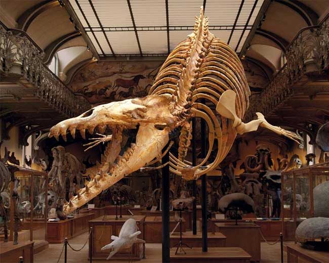 Do básico ao completo, veja quantos dias ficar em Paris e o que visitar