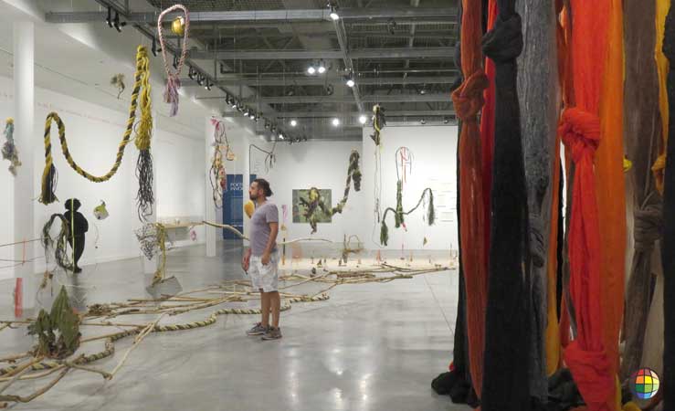 miami museum of Contemporary art