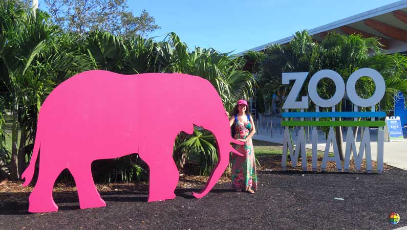 miami zoo zoologico florida