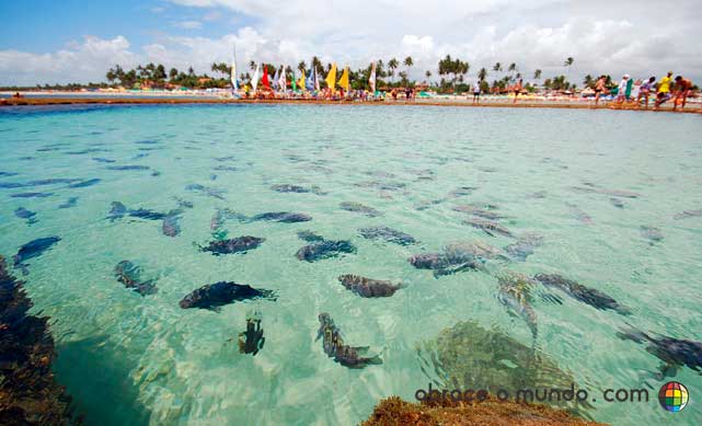 Porto piscinas naturais