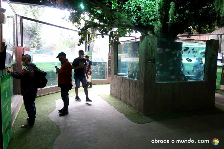 aquario em balneário camboriú