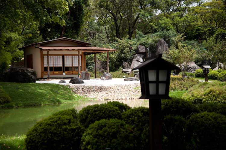 Jardim japones bh belo horizonte