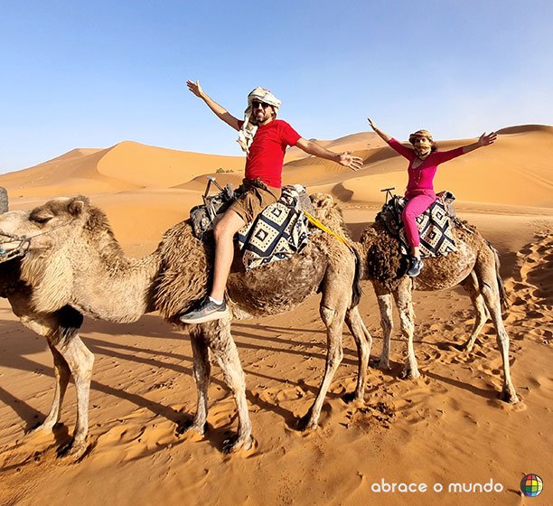 camelo deserto marrocos